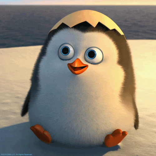 image-1729053673.gif